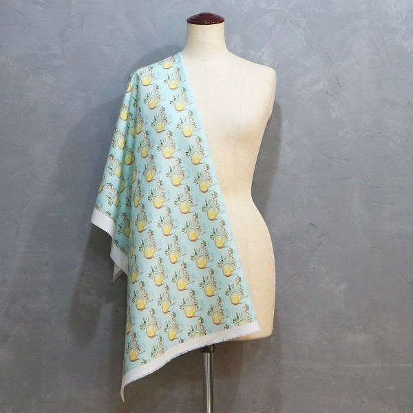 【シーチングorオックス:50cm単位】 エコファブリック fab-cm00978