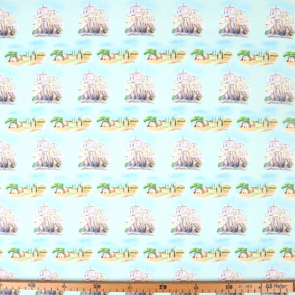 【シーチングorオックス:50cm単位】 エコファブリック fab-cm00980