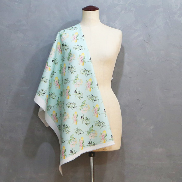 【シーチングorオックス:50cm単位】 エコファブリック fab-cm00984