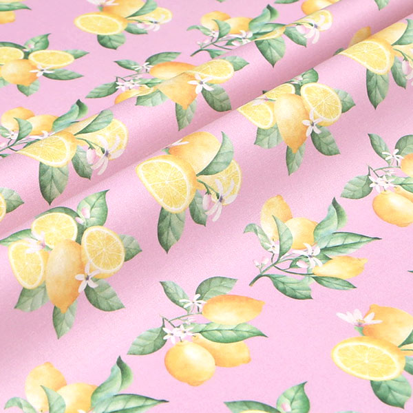 【シーチングorオックス:50cm単位】 エコファブリック fab-cm00986