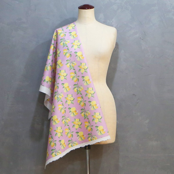 【シーチングorオックス:50cm単位】 エコファブリック fab-cm00986