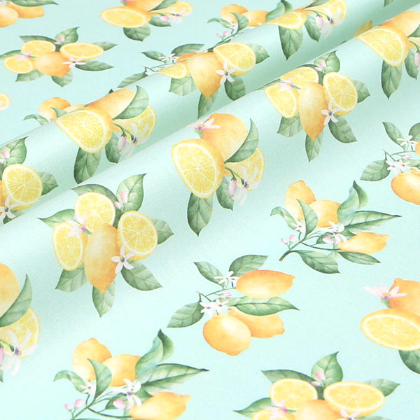 【シーチングorオックス:50cm単位】 エコファブリック fab-cm00987