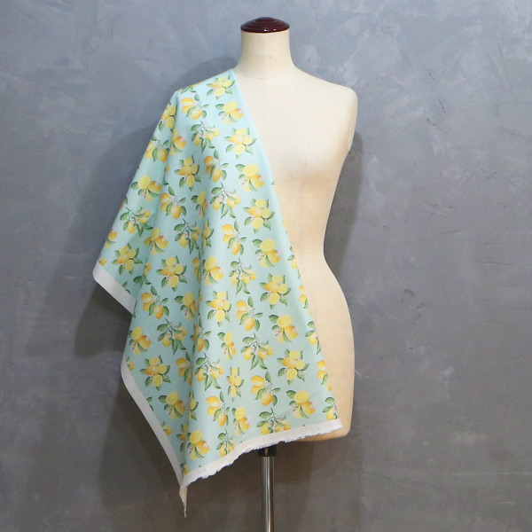 【シーチングorオックス:50cm単位】 エコファブリック fab-cm00987