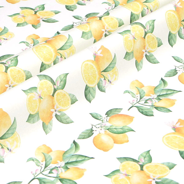 【シーチングorオックス:50cm単位】 エコファブリック fab-cm00988