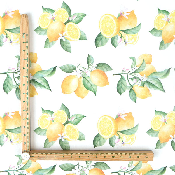 【シーチングorオックス:50cm単位】 エコファブリック fab-cm00988