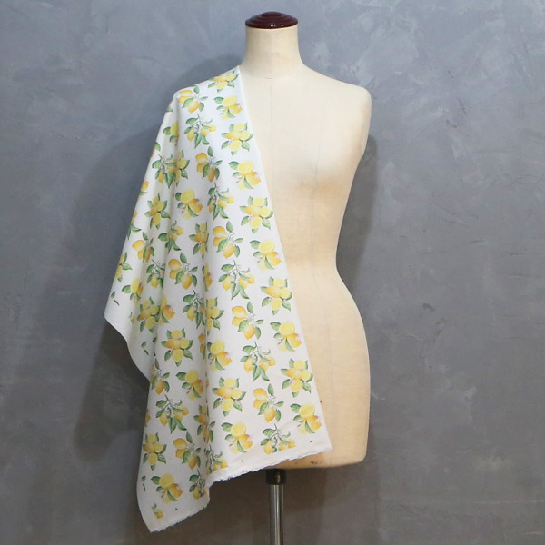 【シーチングorオックス:50cm単位】 エコファブリック fab-cm00988