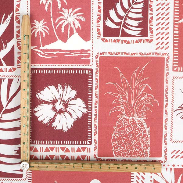 【シーチングorオックス:50cm単位】 エコファブリック fab-cm01196