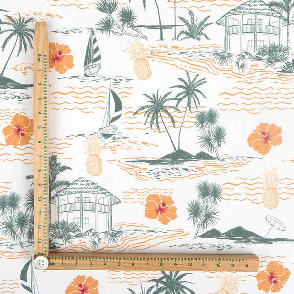 【シーチングorオックス:50cm単位】 エコファブリック fab-cm01202