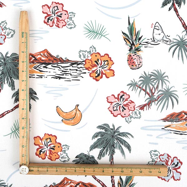 【シーチングorオックス:50cm単位】 エコファブリック fab-cm01206