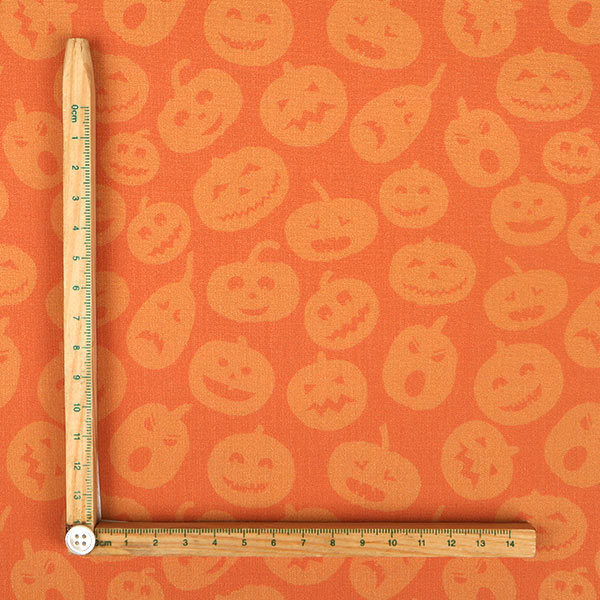 【シーチングorオックス:50cm単位】 エコファブリック fab-cm01723