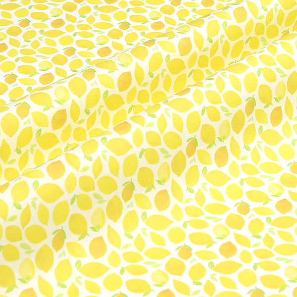 【シーチングorオックス:50cm単位】 エコファブリック fab-cm01773