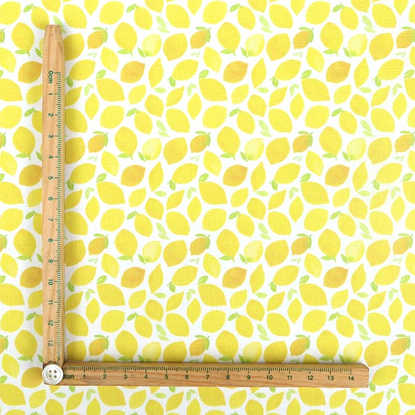 【シーチングorオックス:50cm単位】 エコファブリック fab-cm01773