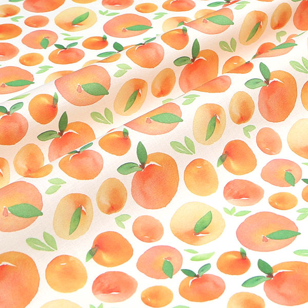 【シーチングorオックス:50cm単位】 エコファブリック fab-cm01776