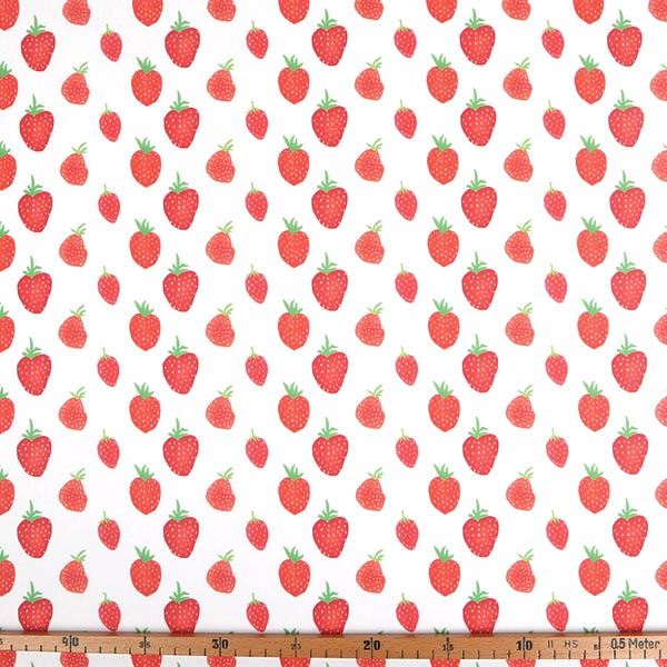 【シーチングorオックス:50cm単位】 エコファブリック fab-hm00012