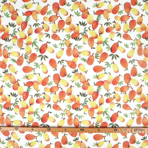 【シーチングorオックス:50cm単位】 エコファブリック fab-mf00016