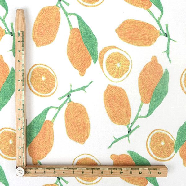 【シーチングorオックス:50cm単位】 エコファブリック fab-mf00037