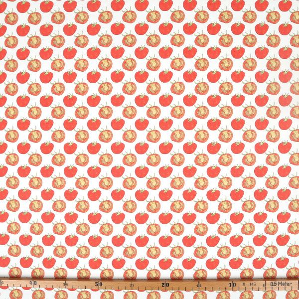 【シーチングorオックス:50cm単位】 エコファブリック fab-mf00061