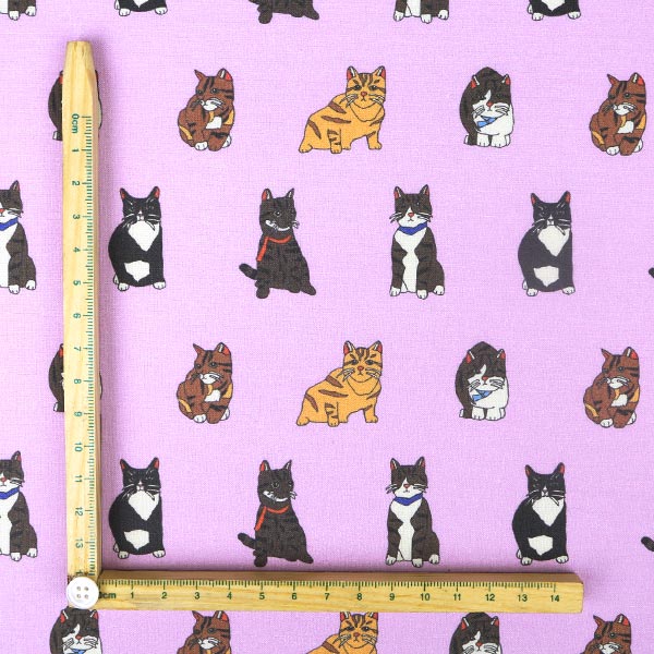 【シーチングorオックス:50cm単位】 エコファブリック fab-mf00218